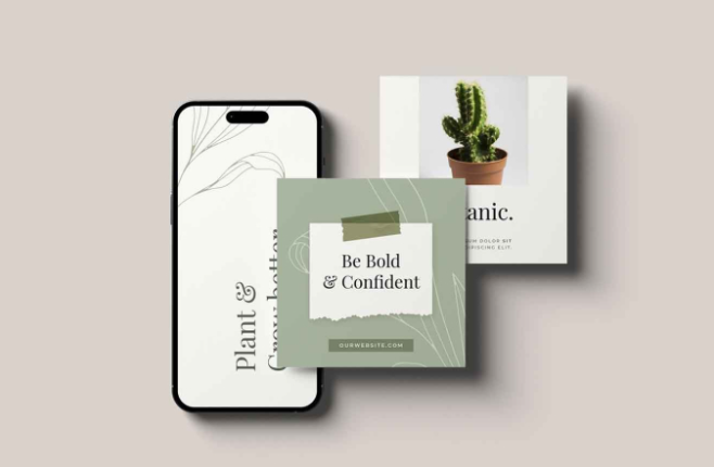 Social Growth Plan - Scale and Boost your Brand